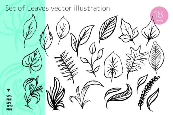 Set of Leaves Vector Illustration Review