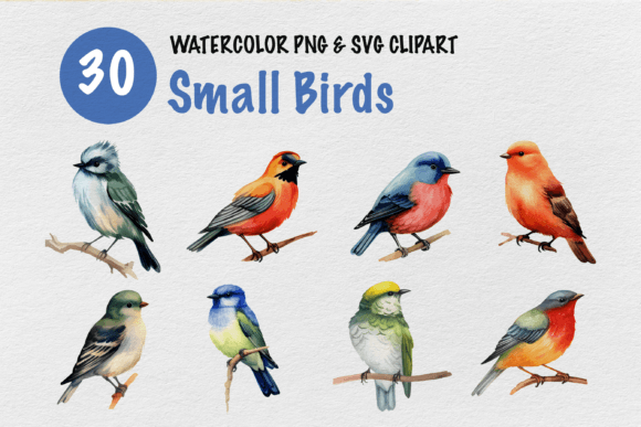 Small Birds Watercolor Clipart Review for Embroidery Projects