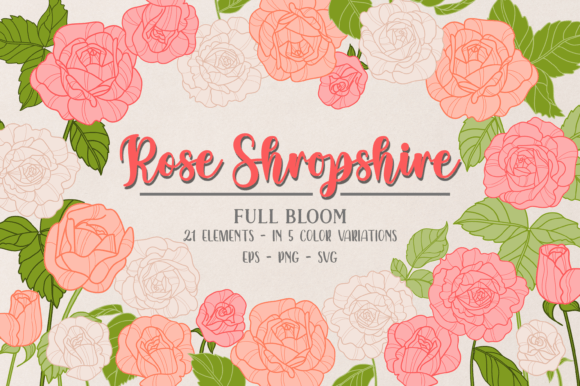 Vector Vintage Shropshire Rose SVG Review for Real Projects